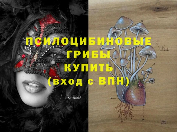 прущая мука Няндома